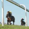 Ffos Las Racecourse
